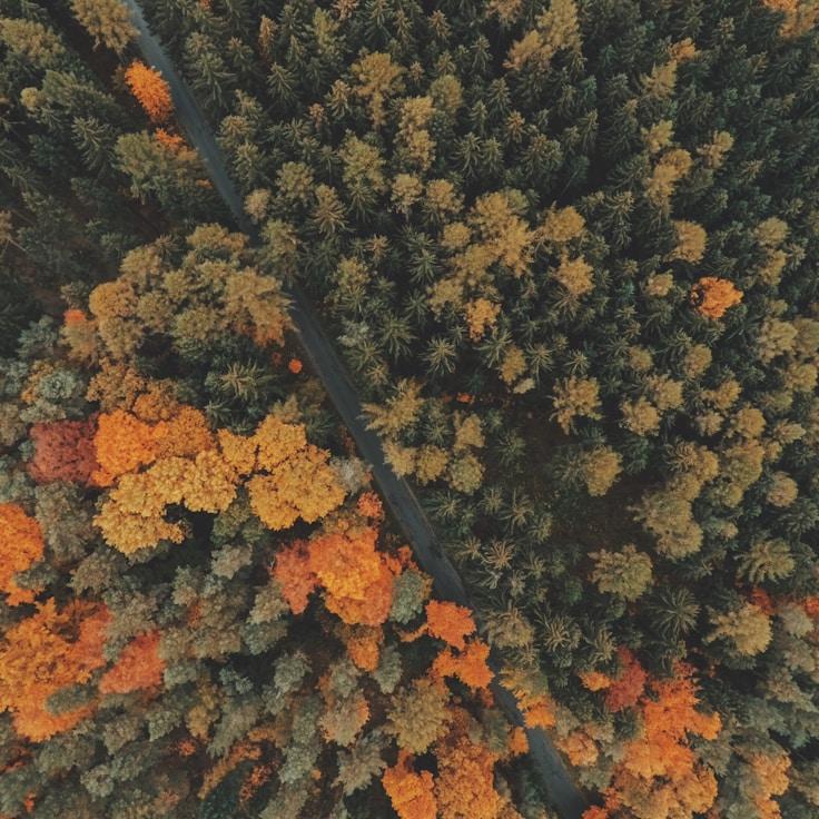 National parks landscape